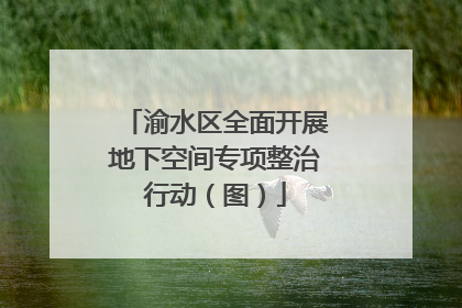 渝水区全面开展地下空间专项整治行动（图）