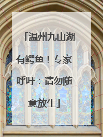 温州九山湖有鳄鱼！专家呼吁：请勿随意放生