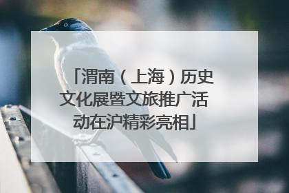 渭南（上海）历史文化展暨文旅推广活动在沪精彩亮相
