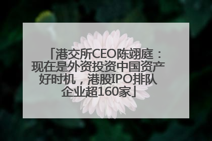 港交所CEO陈翊庭：现在是外资投资中国资产好时机，港股IPO排队企业超160家