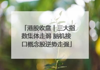 港股收盘｜三大指数集体走弱 脑机接口概念股逆势走强