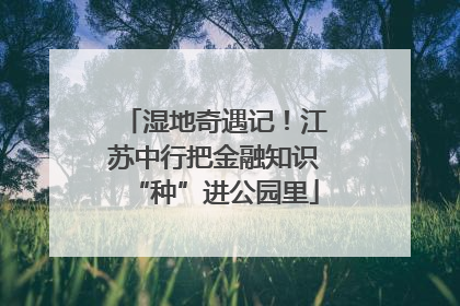 湿地奇遇记！江苏中行把金融知识“种”进公园里