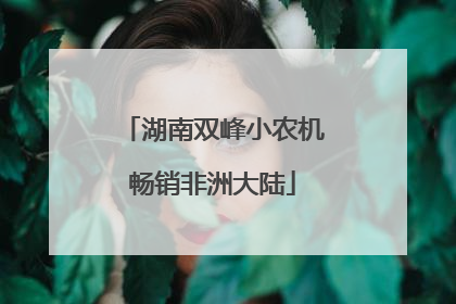 湖南双峰小农机畅销非洲大陆