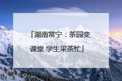 湖南常宁：茶园变课堂 学生采茶忙