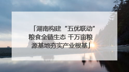 湖南构建“五优联动”粮食全链生态 千万亩粮源基地夯实产业根基