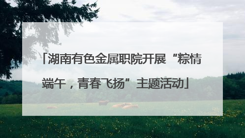 湖南有色金属职院开展“粽情端午，青春飞扬”主题活动