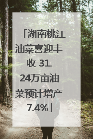 湖南桃江油菜喜迎丰收 31.24万亩油菜预计增产7.4%