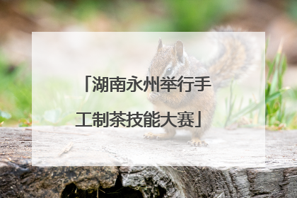 湖南永州举行手工制茶技能大赛