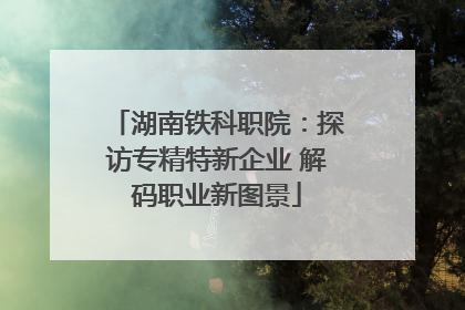 湖南铁科职院：探访专精特新企业 解码职业新图景