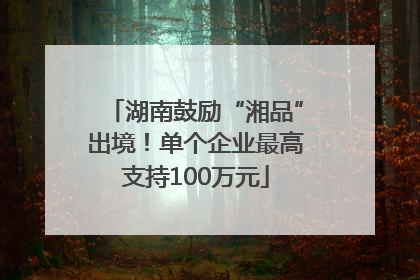湖南鼓励“湘品”出境！单个企业最高支持100万元