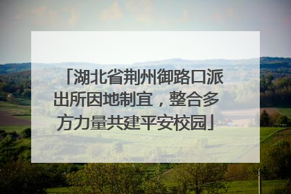 湖北省荆州御路口派出所因地制宜，整合多方力量共建平安校园