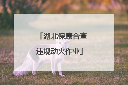 湖北保康合查违规动火作业
