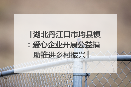 湖北丹江口市均县镇：爱心企业开展公益捐助推进乡村振兴