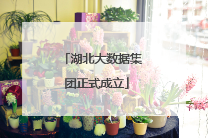 湖北大数据集团正式成立