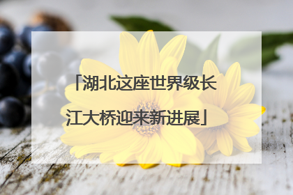 湖北这座世界级长江大桥迎来新进展