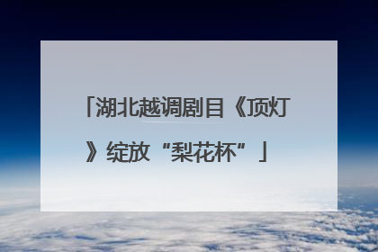 湖北越调剧目《顶灯》绽放“梨花杯”