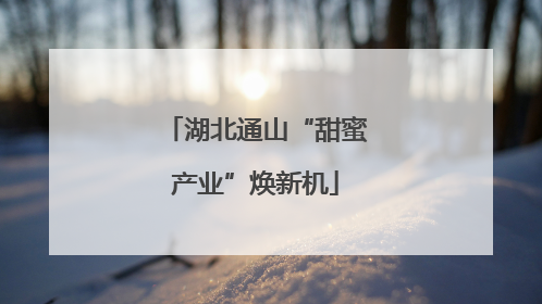 湖北通山“甜蜜产业”焕新机