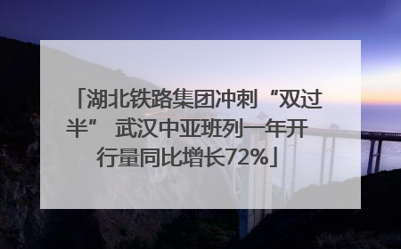 湖北铁路集团冲刺“双过半” 武汉中亚班列一年开行量同比增长72%