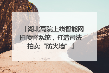 湖北高院上线智能网拍预警系统，打造司法拍卖“防火墙”
