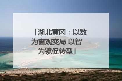 湖北黄冈：以数为窗观变局 以智为镜促转型
