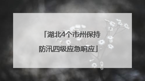 湖北4个市州保持防汛四级应急响应
