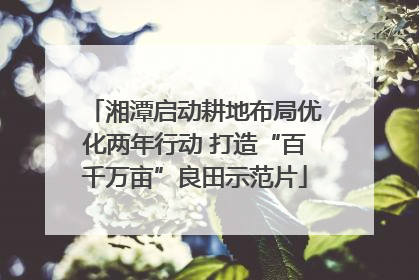 湘潭启动耕地布局优化两年行动 打造“百千万亩”良田示范片