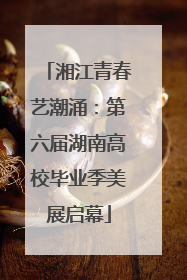 湘江青春艺潮涌：第六届湖南高校毕业季美展启幕