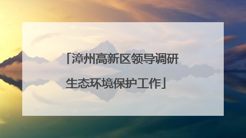 漳州高新区领导调研生态环境保护工作