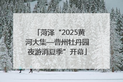 菏泽“2025黄河大集—曹州牡丹园夜游消夏季”开幕