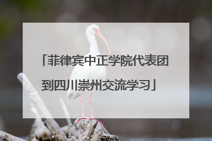 菲律宾中正学院代表团到四川崇州交流学习