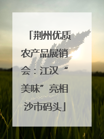 荆州优质农产品展销会：江汉“美味”亮相沙市码头