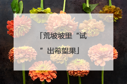 荒坡坡里“试”出希望果
