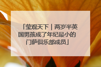 莹观天下｜两岁半英国男孩成了年纪最小的门萨俱乐部成员