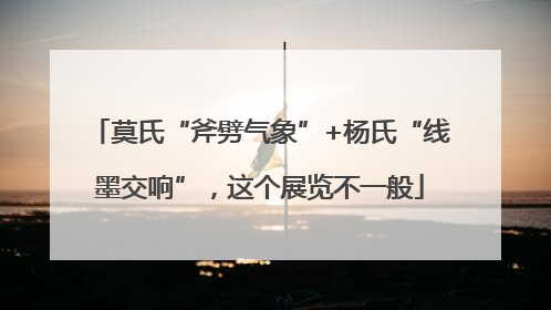 莫氏“斧劈气象”+杨氏“线墨交响”，这个展览不一般