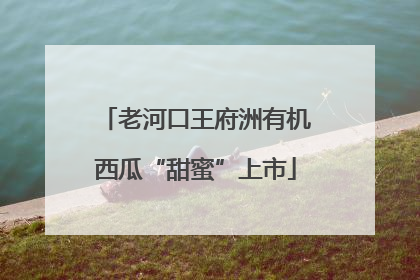 老河口王府洲有机西瓜“甜蜜”上市
