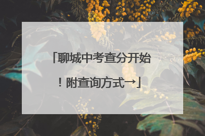 聊城中考查分开始！附查询方式→