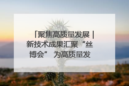 聚焦高质量发展｜新技术成果汇聚“丝博会” 为高质量发展注入新动能