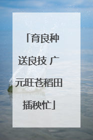 育良种 送良技 广元旺苍稻田插秧忙