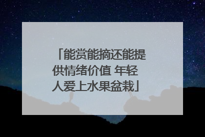 能赏能摘还能提供情绪价值 年轻人爱上水果盆栽