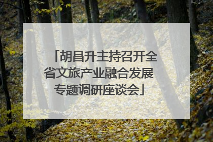 胡昌升主持召开全省文旅产业融合发展专题调研座谈会