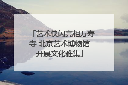 艺术快闪亮相万寿寺 北京艺术博物馆开展文化雅集
