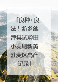 良种+良法！新乡延津县试验田小麦刷新黄淮麦区高产记录