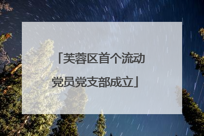 芙蓉区首个流动党员党支部成立