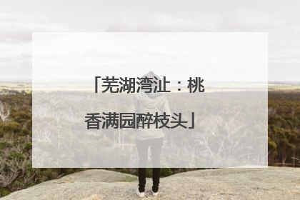 芜湖湾沚：桃香满园醉枝头