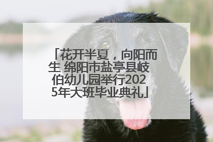 花开半夏，向阳而生 绵阳市盐亭县岐伯幼儿园举行2025年大班毕业典礼