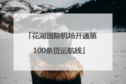 花湖国际机场开通第100条货运航线