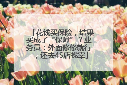 花钱买保险，结果买成了“保障”？业务员：外面修修就行，还去4S店找宰