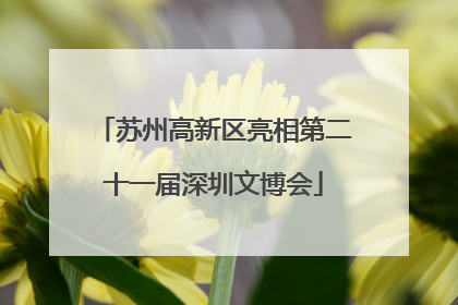 苏州高新区亮相第二十一届深圳文博会