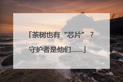 茶树也有“芯片”？守护者是他们……