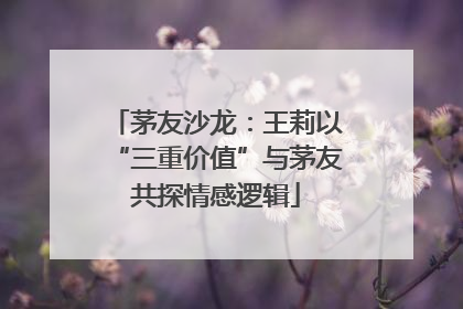 茅友沙龙：王莉以“三重价值”与茅友共探情感逻辑